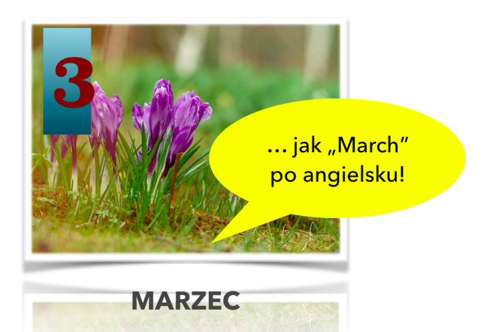 Polish for foreigners Months